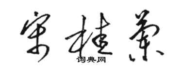 骆恒光宋桂兰草书个性签名怎么写