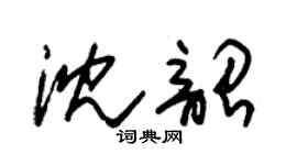 朱锡荣沈韶草书个性签名怎么写