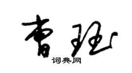 朱锡荣曹珏草书个性签名怎么写