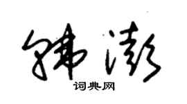 朱锡荣韩澎草书个性签名怎么写
