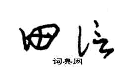 朱锡荣田信草书个性签名怎么写