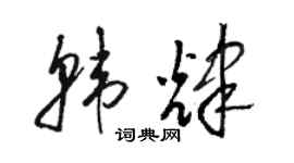 骆恒光韩辉草书个性签名怎么写