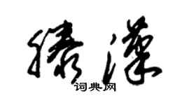 朱锡荣滕汉草书个性签名怎么写