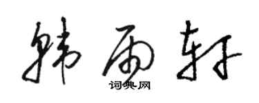骆恒光韩雨轩草书个性签名怎么写