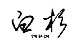朱锡荣白杉草书个性签名怎么写