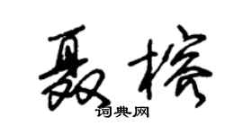 朱锡荣聂榕草书个性签名怎么写