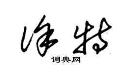朱锡荣徐特草书个性签名怎么写