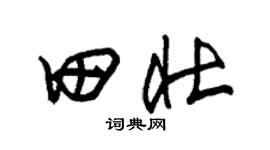 朱锡荣田壮草书个性签名怎么写