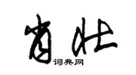 朱锡荣肖壮草书个性签名怎么写