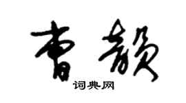 朱锡荣曹韵草书个性签名怎么写