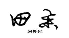 朱锡荣田举草书个性签名怎么写
