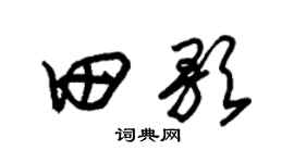 朱锡荣田歌草书个性签名怎么写