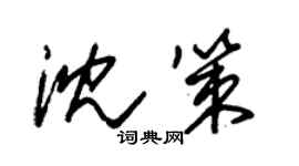 朱锡荣沈策草书个性签名怎么写