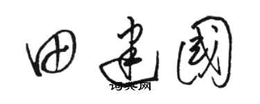 骆恒光田建国草书个性签名怎么写