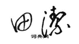 骆恒光田洁草书个性签名怎么写