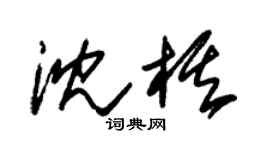 朱锡荣沈棋草书个性签名怎么写