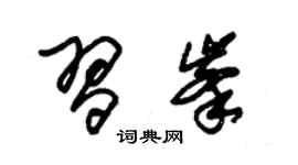 朱锡荣习峰草书个性签名怎么写