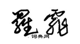 朱锡荣罗霏草书个性签名怎么写
