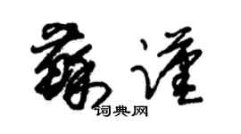 朱锡荣苏谨草书个性签名怎么写