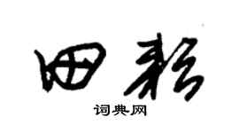朱锡荣田耘草书个性签名怎么写