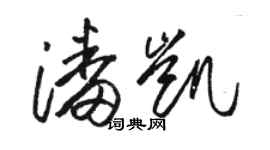 骆恒光潘凯草书个性签名怎么写