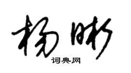 朱锡荣杨晰草书个性签名怎么写