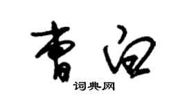 朱锡荣曹白草书个性签名怎么写