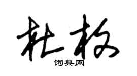 朱锡荣杜枚草书个性签名怎么写