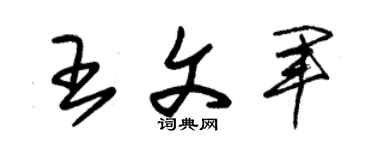 朱锡荣王文军草书个性签名怎么写