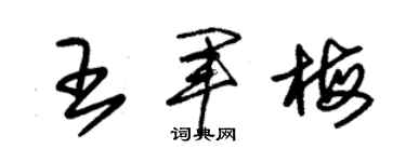 朱锡荣王军梅草书个性签名怎么写