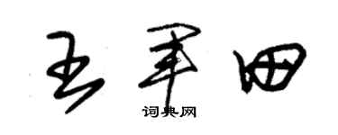 朱锡荣王军田草书个性签名怎么写
