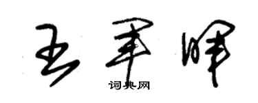 朱锡荣王军晖草书个性签名怎么写