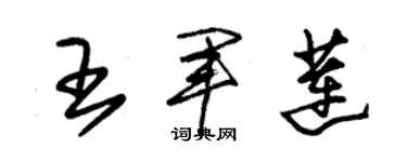 朱锡荣王军莲草书个性签名怎么写