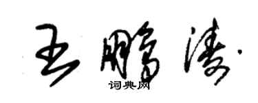 朱锡荣王鹏涛草书个性签名怎么写