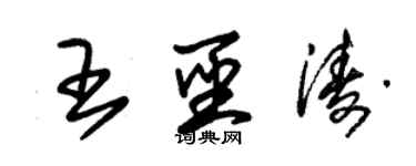 朱锡荣王圣涛草书个性签名怎么写