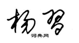 朱锡荣杨习草书个性签名怎么写