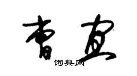 朱锡荣曹宜草书个性签名怎么写