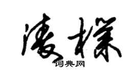 朱锡荣凌朴草书个性签名怎么写