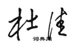 骆恒光杜佳草书个性签名怎么写