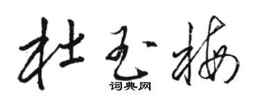 骆恒光杜玉梅草书个性签名怎么写
