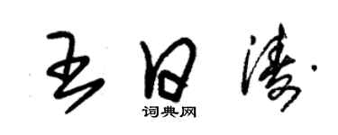 朱锡荣王日涛草书个性签名怎么写