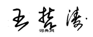 朱锡荣王哲涛草书个性签名怎么写