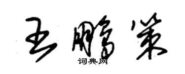 朱锡荣王鹏策草书个性签名怎么写