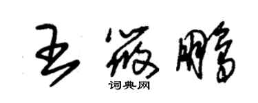 朱锡荣王筱鹏草书个性签名怎么写