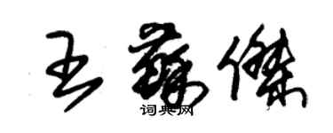 朱锡荣王苏杰草书个性签名怎么写