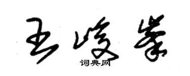 朱锡荣王峻峰草书个性签名怎么写