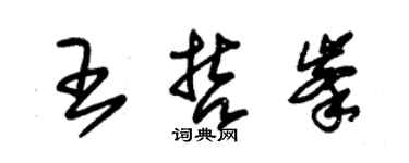 朱锡荣王哲峰草书个性签名怎么写