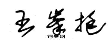 朱锡荣王峰挺草书个性签名怎么写