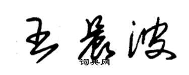 朱锡荣王晨波草书个性签名怎么写