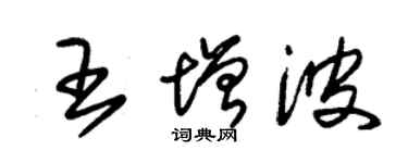朱锡荣王增波草书个性签名怎么写